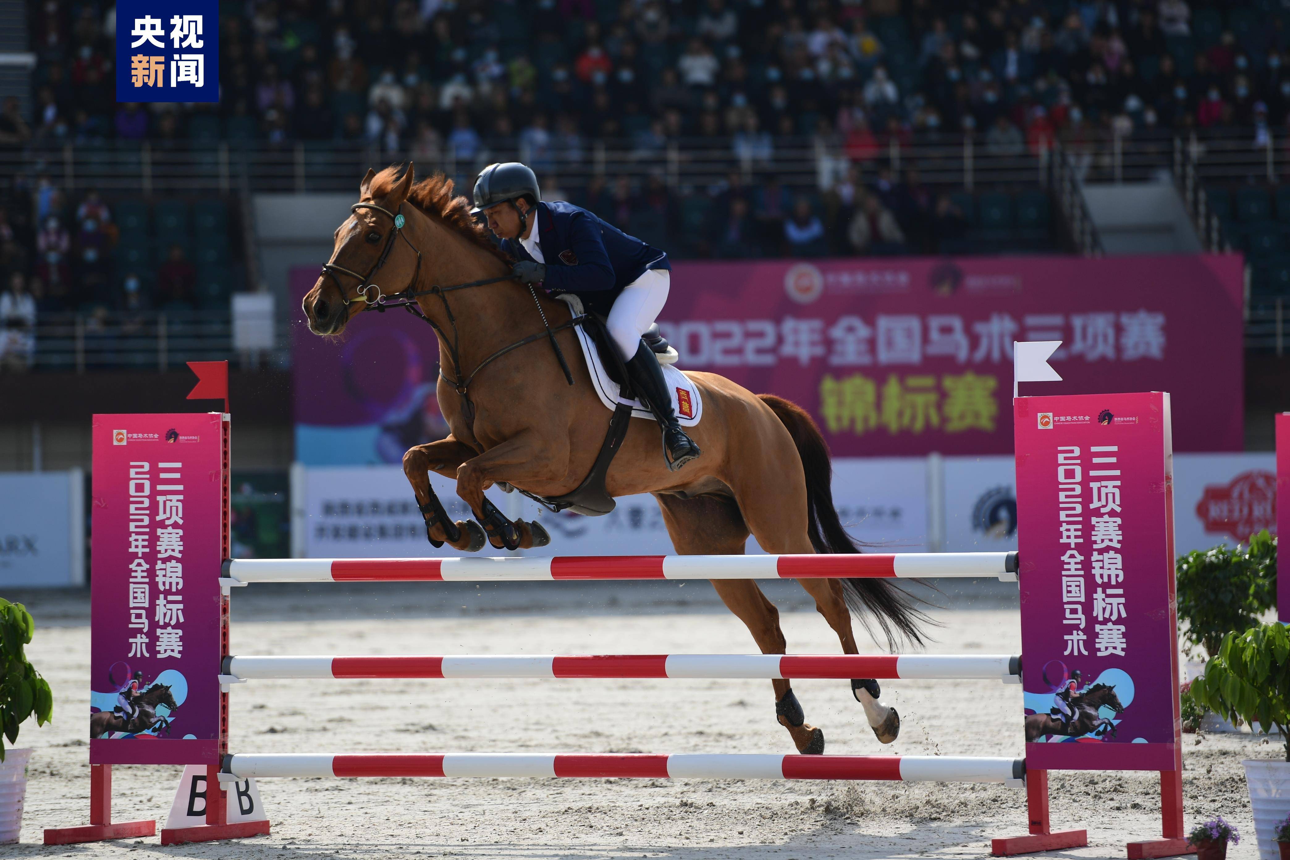 斯洛伐克代表队在马术比赛中斩获冠军，光彩夺目的简单介绍