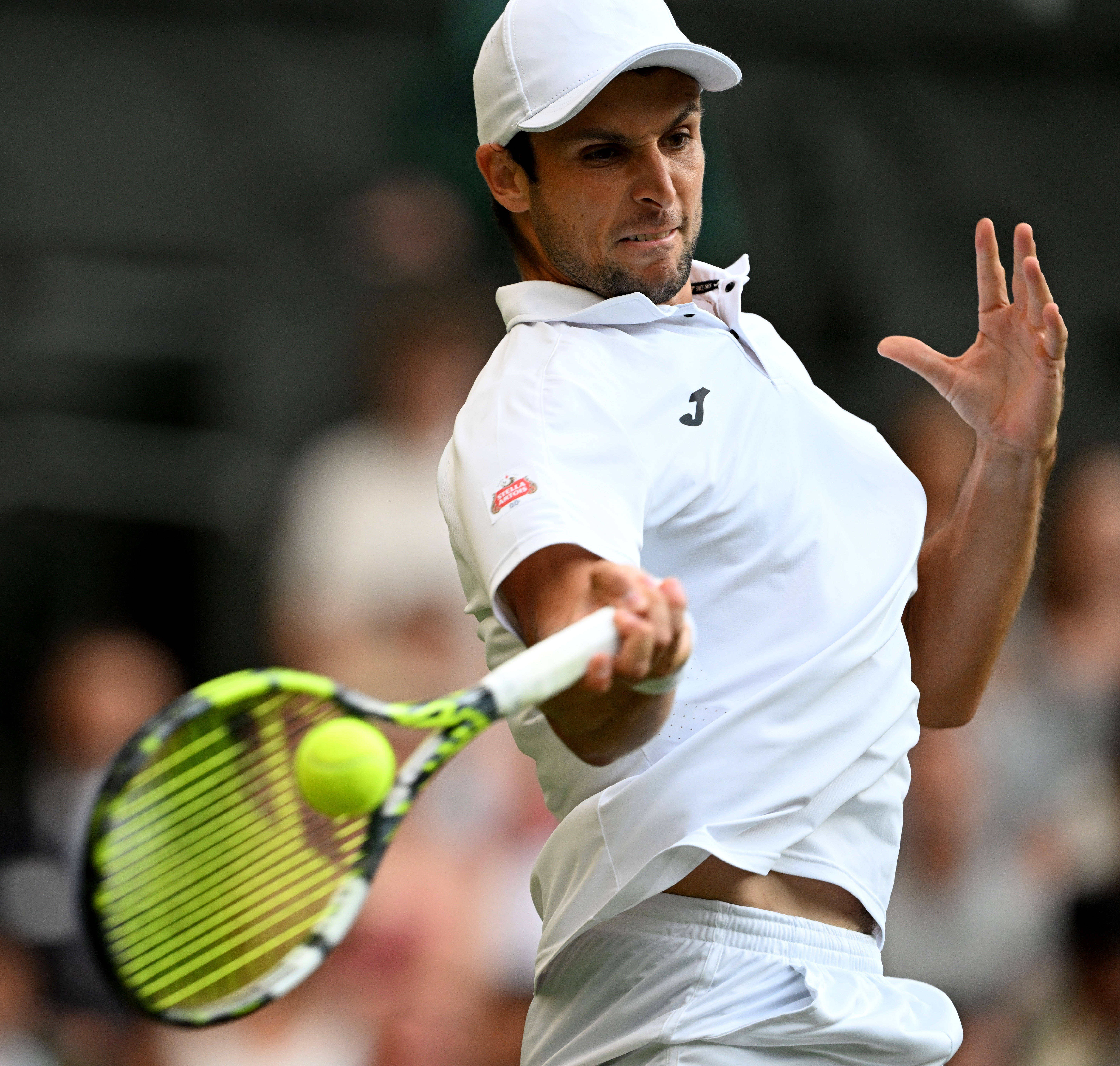 温网完胜ATP总决赛，辛纳高光表现