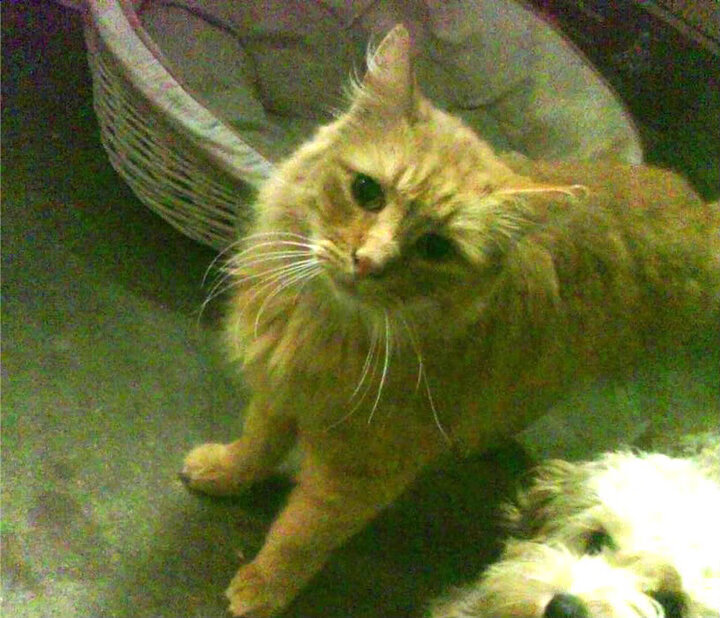 终场哨前的世界，英超争冠与美国压哨绝杀背后的时光哲学