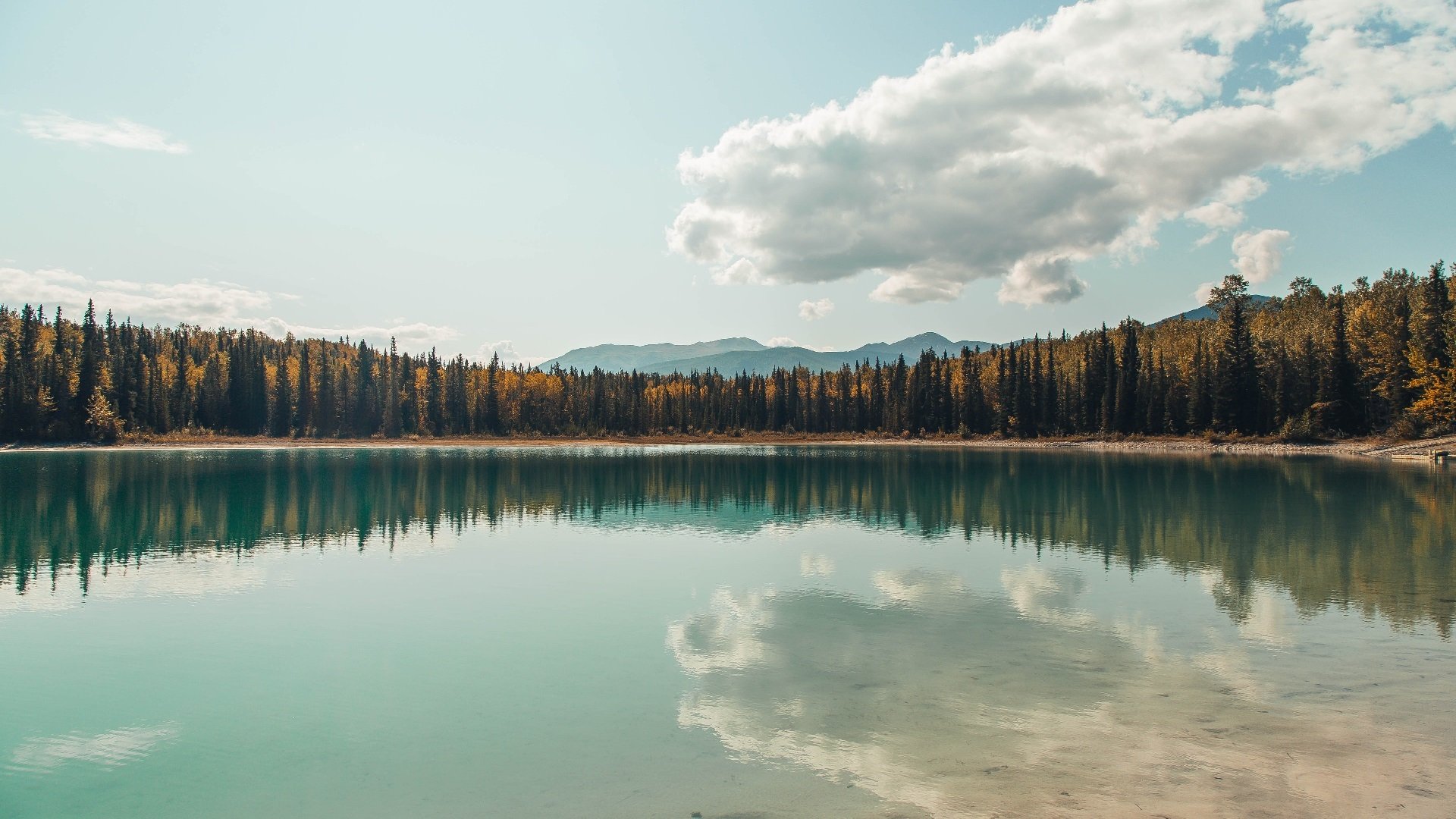 霍勒迪致命一击定乾坤，魔术加时险胜雷霆赢得巅峰对决
