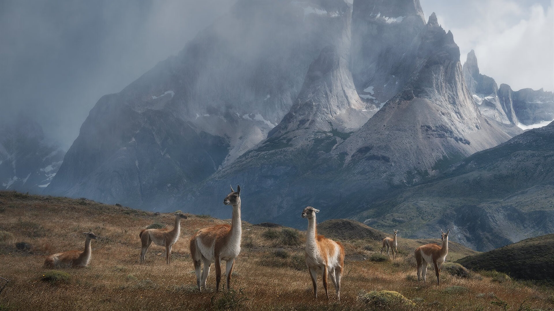 双线闪耀，尼克斯团队碾压山西 锡安西甲德比单骑救主