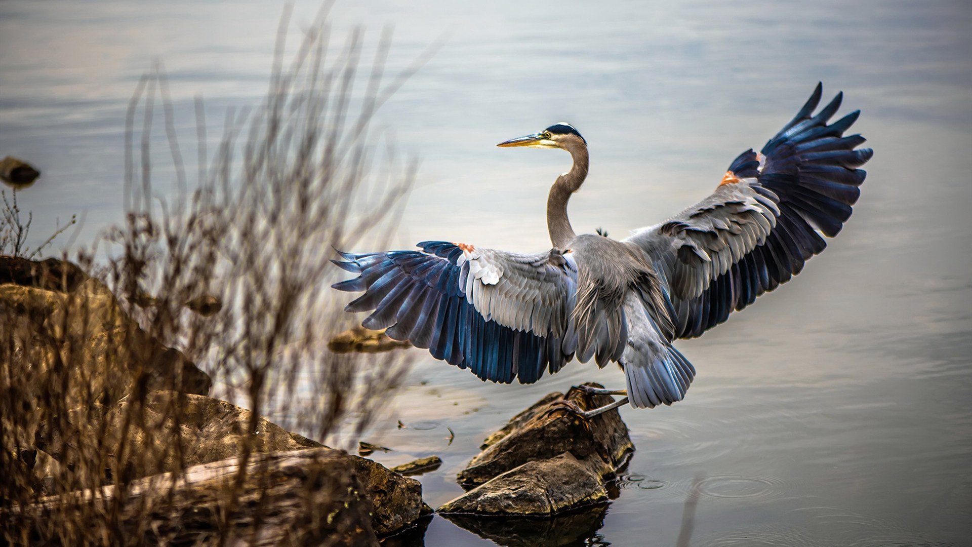 闪电突袭皮斯胡安！戈麦斯一球定乾坤，马里诠释现代足球速度美学